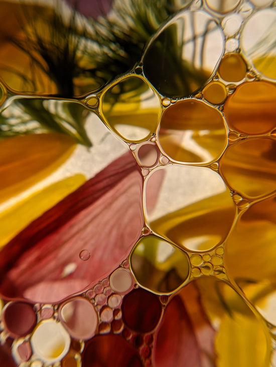 Auve_Beauty-Skincare-Clean-Beauty-Key-Ingredients