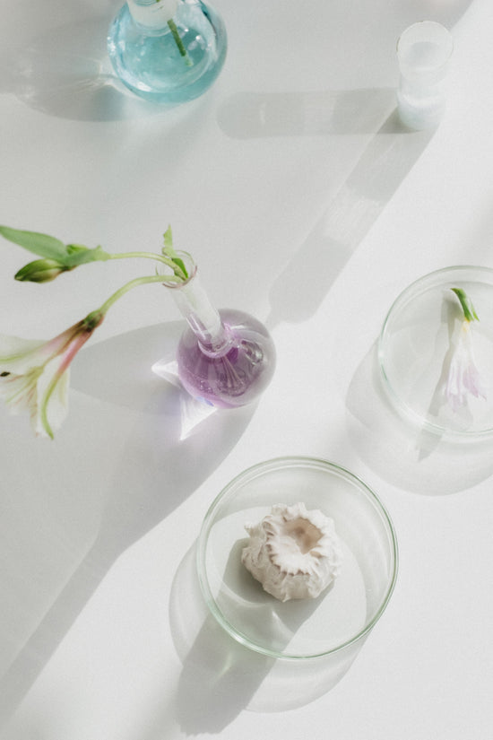 Auvê_Beauty-Guyanese-California-Clean-Beauty-Skincare